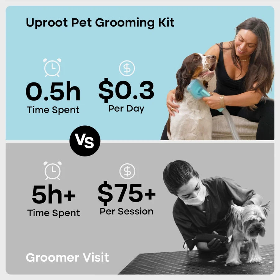 Silent Groom Pet Grooming Kit