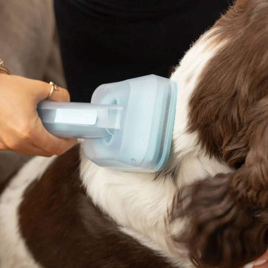 Silent Groom Pet Grooming Kit