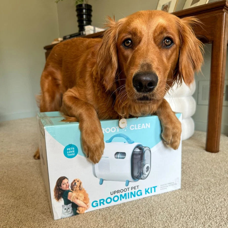 Silent Groom Pet Grooming Kit