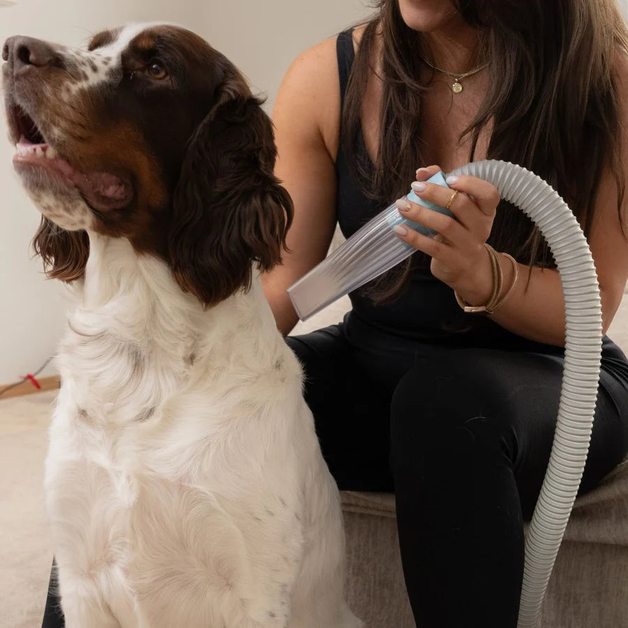 Silent Groom Pet Grooming Kit